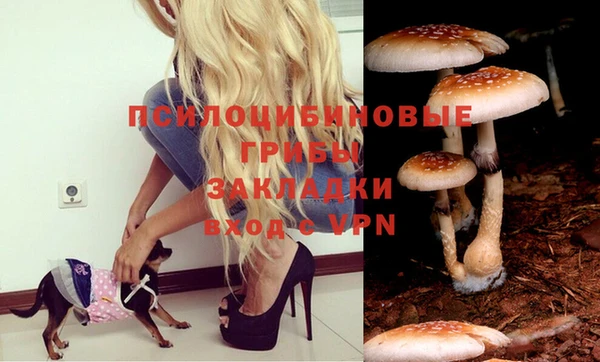 амф Алексеевка