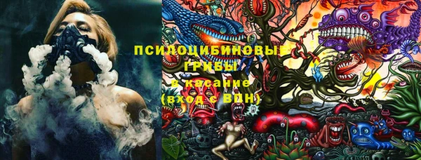 героин Алексин