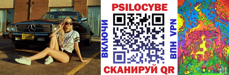 как найти наркотики  Жирновск  Галлюциногенные грибы Magic Shrooms 